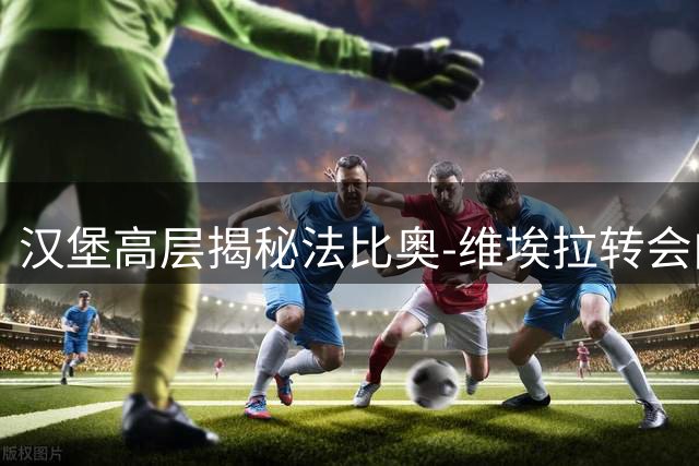 汉堡高层揭秘法比奥-维埃拉转会内幕：理性报价不冒险举债